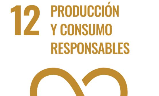 Imagen de los objetivos y metas de desarrollo sostenible, señalando al número 16